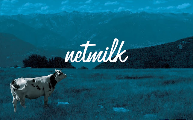 Netmilk Studio
