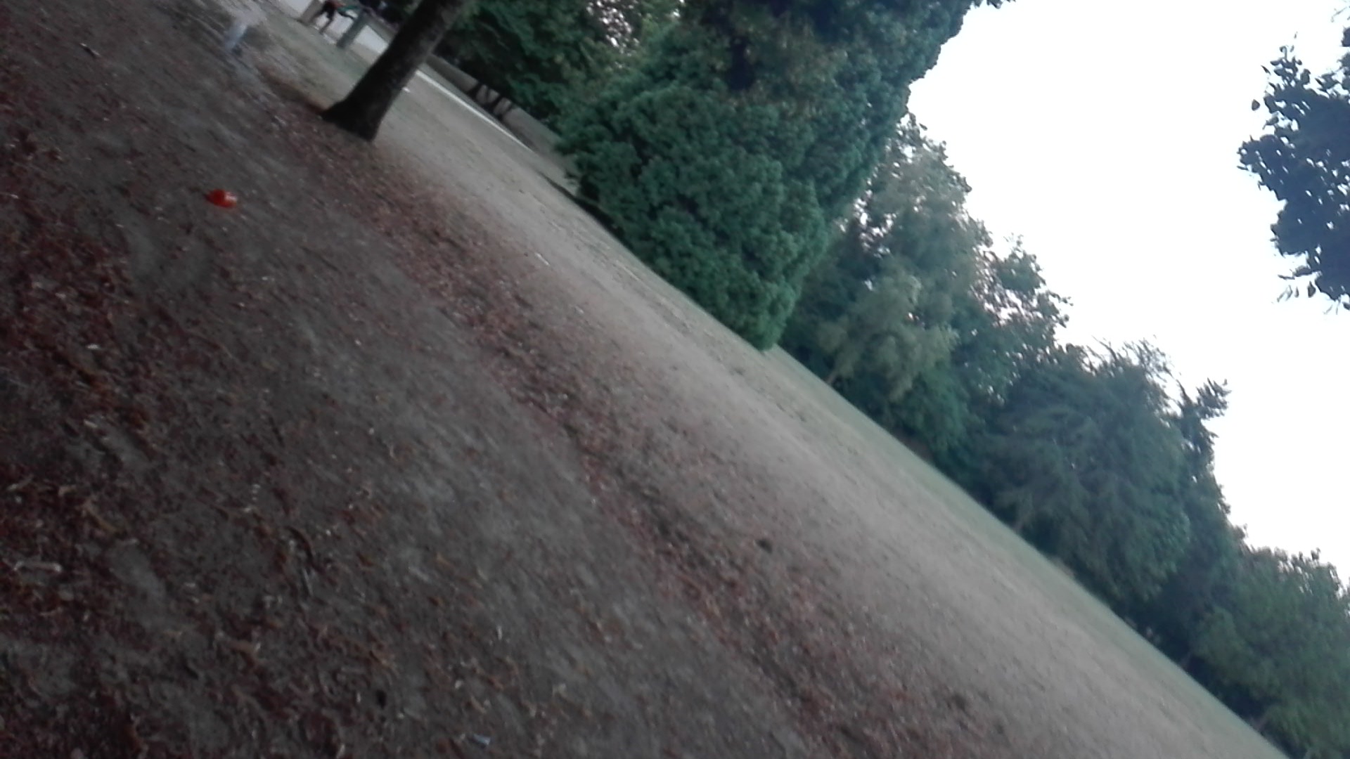 Photo n° 1 de l'avis de Pamela.u fait le 26/07/2018 à 19:38