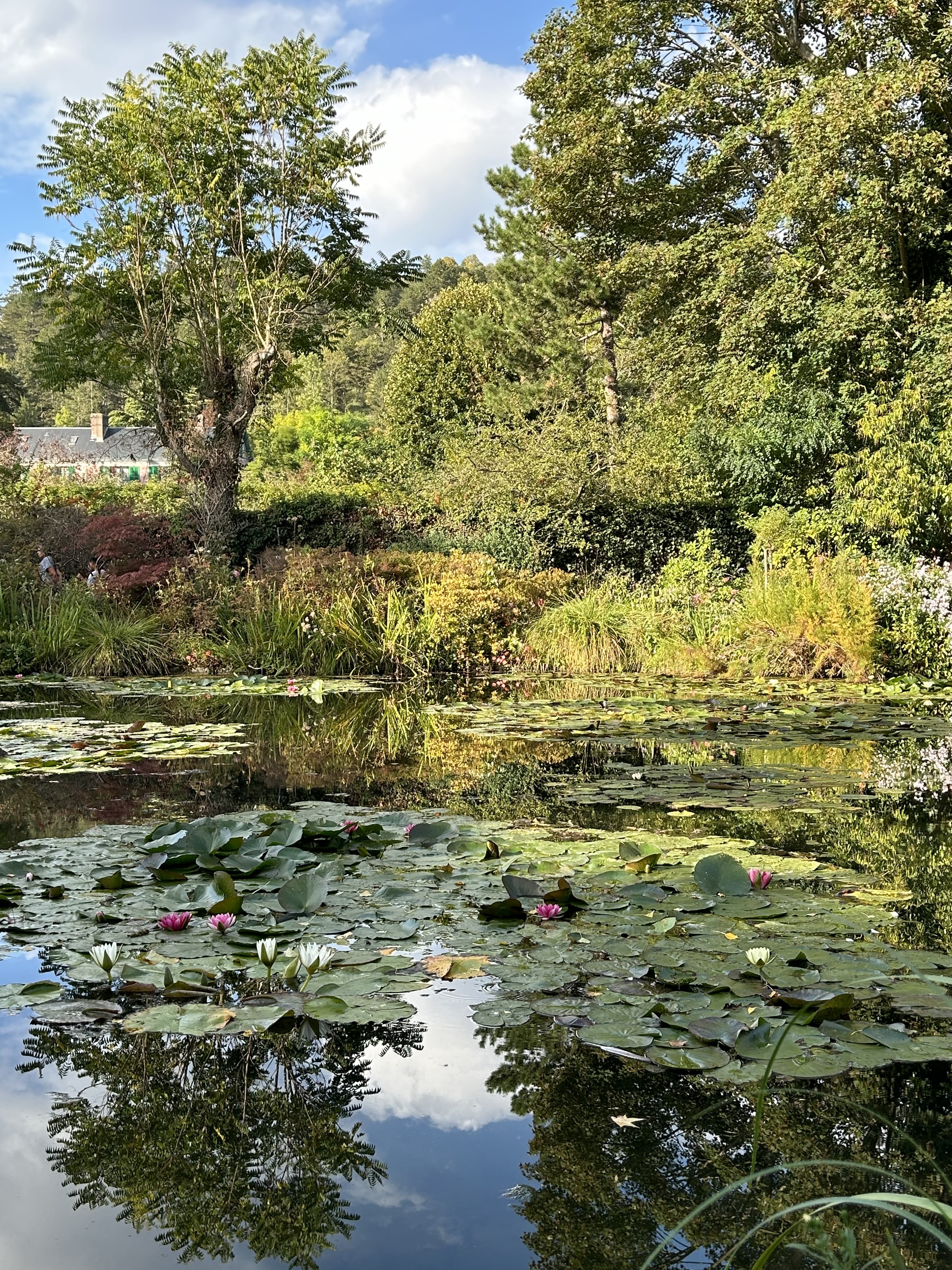 Photo n° 17 de l'avis de Justine.u fait le 12/10/2023 à 09:28