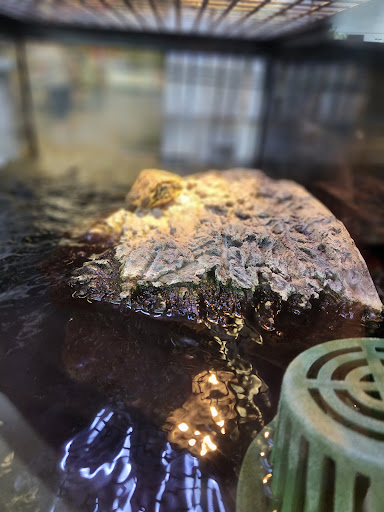 Pet Supply Store «Petco Animal Supplies», reviews and photos, 5925 US-6, Portage, IN 46368, USA