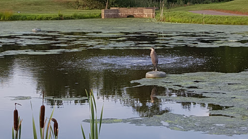 Golf Course «Rutgers Golf Course», reviews and photos, 777 Hoes Ln W, Piscataway Township, NJ 08854, USA