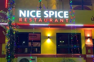 Nice Spice Restaurant image
