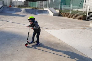 Skatepark du Plessis-Robinson image