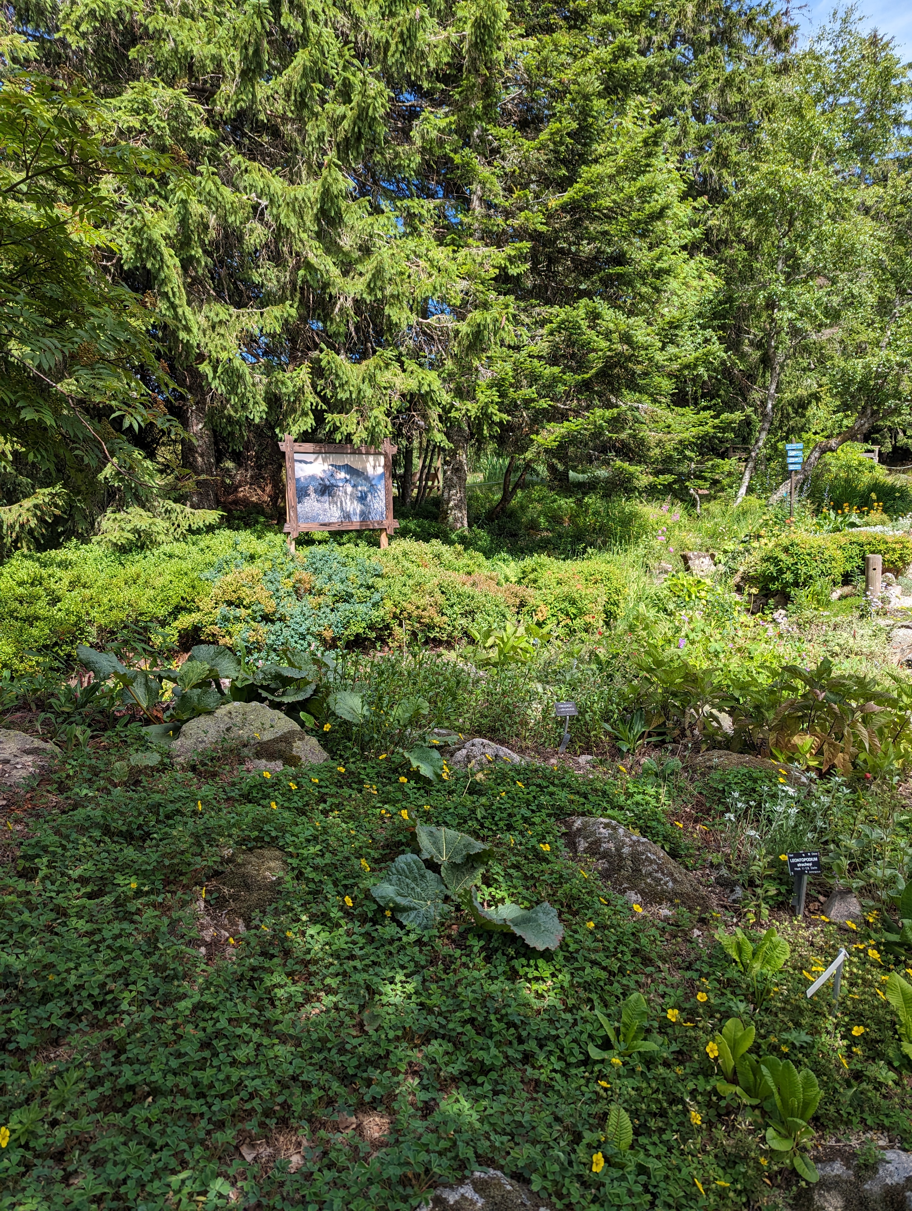 Photo n° 2 de l'avis de Mathilde. fait le 16/07/2023 à 18:14