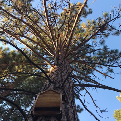 Ace Tree Care and Forestry LLC