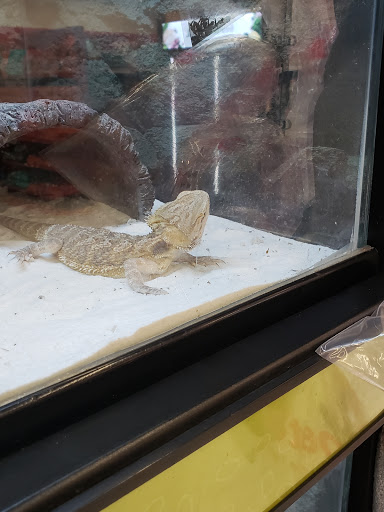 Pet Supply Store «Petco Animal Supplies», reviews and photos, 1660 Orchard Gateway Blvd, North Aurora, IL 60542, USA