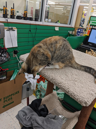 Pet Supply Store «Pet Supplies Plus», reviews and photos, 8170 E Broad St, Reynoldsburg, OH 43068, USA