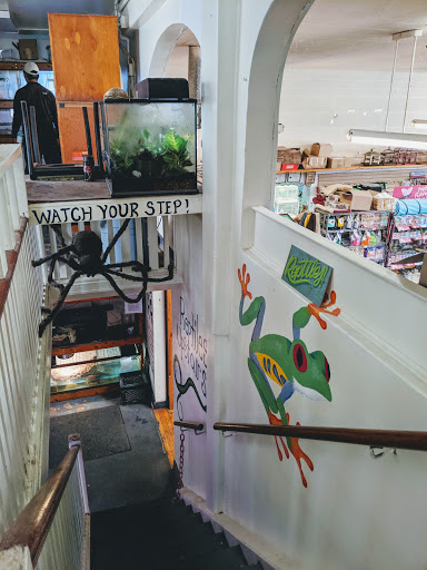 Pet Supply Store «The Animal Connection», reviews and photos, 2550 2550 Judah St & 31st Ave, San Francisco, CA 94122, USA