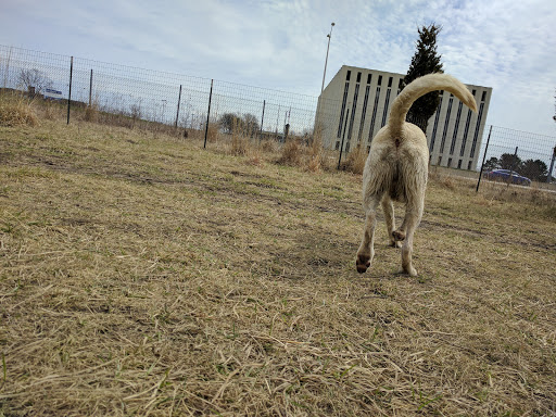 Dog Park «Beck Lake Off-Leash Dog Area», reviews and photos, 9700 Gloria Ct, Glenview, IL 60025, USA