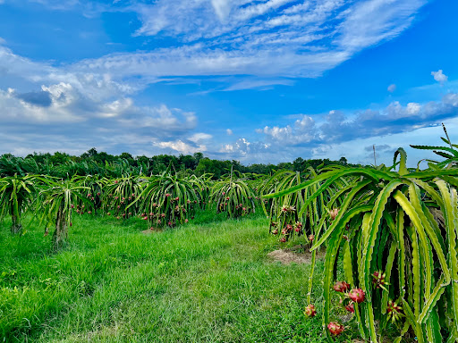Lê Garden Farmstay
