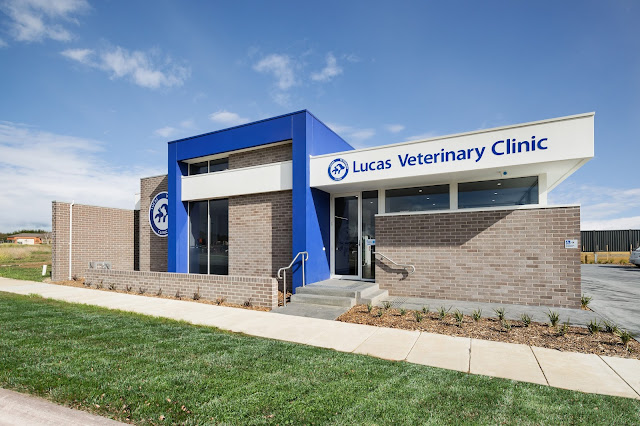 Lucas Veterinary Clinic
