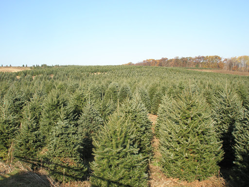 Dzen Tree Farm Inc