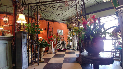 Florist «Tiger Lily», reviews and photos, 1619 Desoto Rd, Sarasota, FL 34234, USA