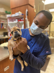 St. Johns Vets Affordable Animal Hospital