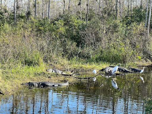 Visitor Center «Big Cypress Swamp Welcome Center», reviews and photos