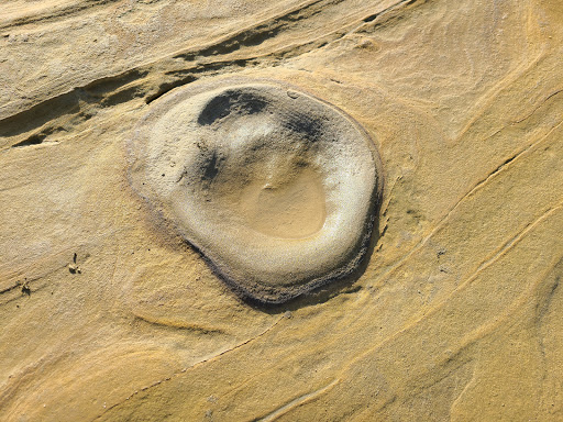 National Park «Point Loma Tide Pools», reviews and photos, 1800 Cabrillo Memorial Drive, San Diego, CA 92106, USA