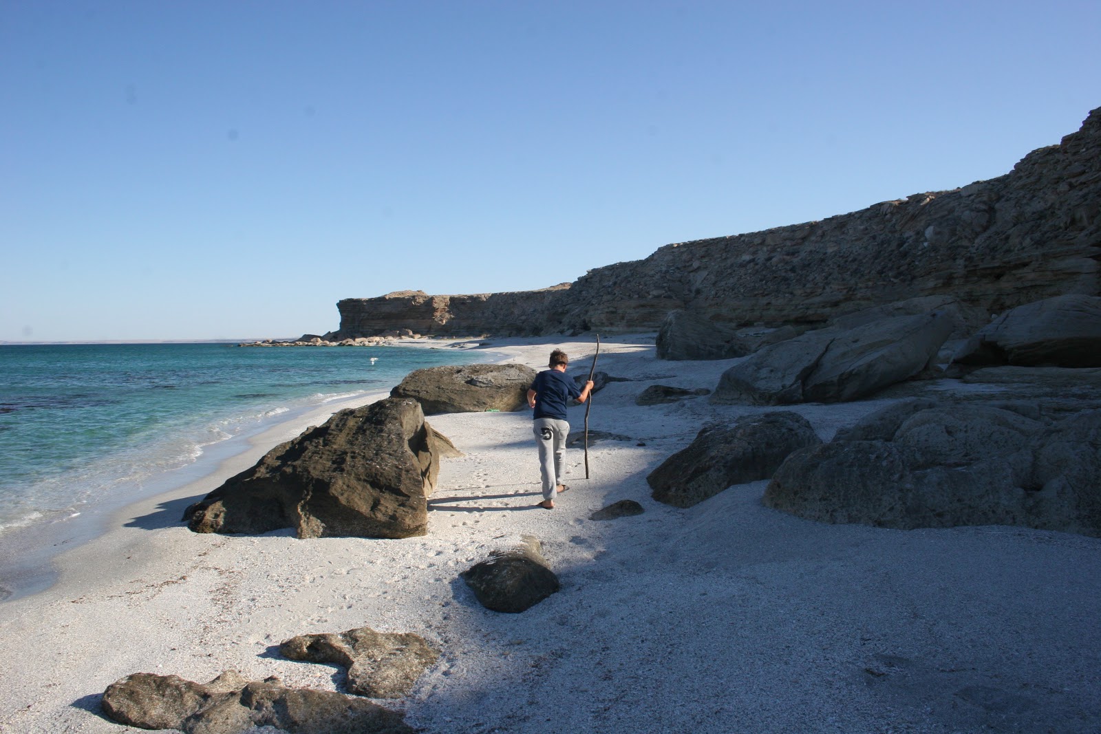 Foto av Shell Beach beläget i naturområde