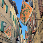 Photo n°11 de l'avis de Stranomondo.g fait le 20/09/2023 à 08:21 sur le  Ristorante Tar-Tufo à Siena