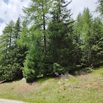 Photo n°8 de l'avis de Lucas.o fait le 27/07/2023 à 16:53 sur le  Tevini - Dolomites Charming Hotel à Almazzago