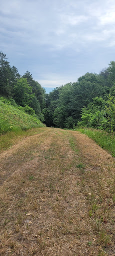 Nature Preserve «Pine Bend Bluffs Scientific and Natural Area (SNA)», reviews and photos, 111th St E, Inver Grove Heights, MN 55077, USA