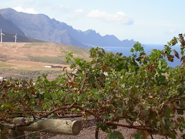 Bodegas Viejo Antón S. A
