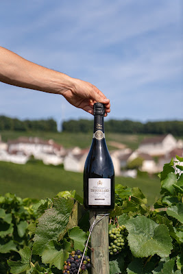 Champagne Trouillard à Dizy
