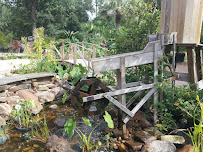 Lynn's Landscaping Inc - Photo 9 - Car repair in League City, TX, League City