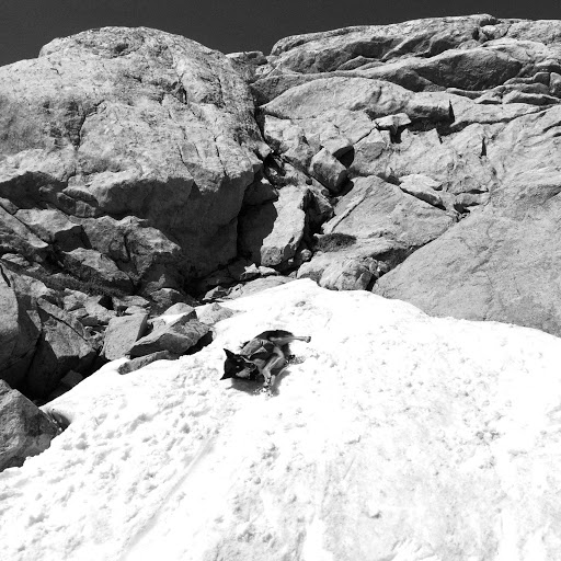 Outdoor Sports Store «Leadville Outdoors and Mountain Market», reviews and photos, 225 Harrison Ave, Leadville, CO 80461, USA