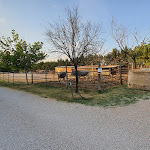 Photo n°16 de l'avis de Francesco.e fait le 03/07/2021 à 15:30 sur le  Ristorante La Casa di Campagna-Agriturismo à Magione