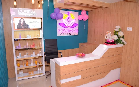 Meadows Wellness - Weight Loss, Hair, Skin Care and Laser Clinic - Mathura image