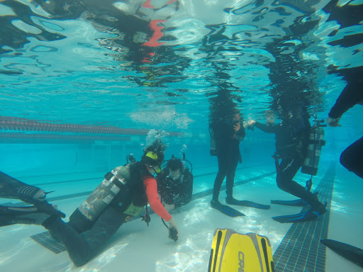 Dive Shop «Orbit Marine Sports Center Inc», reviews and photos, 3273 Fairfield Ave, Bridgeport, CT 06605, USA