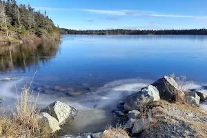 Old Petty Harbour Road Trail image