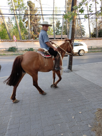 Plaza Pirque