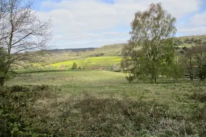 National Trust - Abinger Roughs and Netley Park image