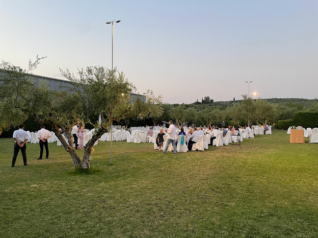 Κτήμα Ελαιώνας