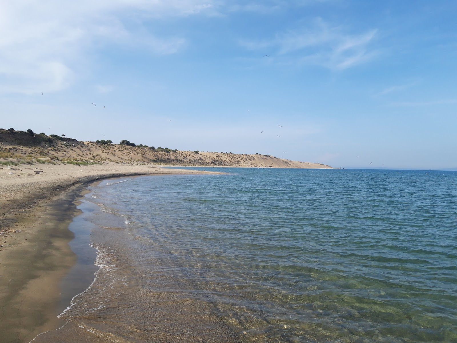 Foto di Gokceada beach con baia media