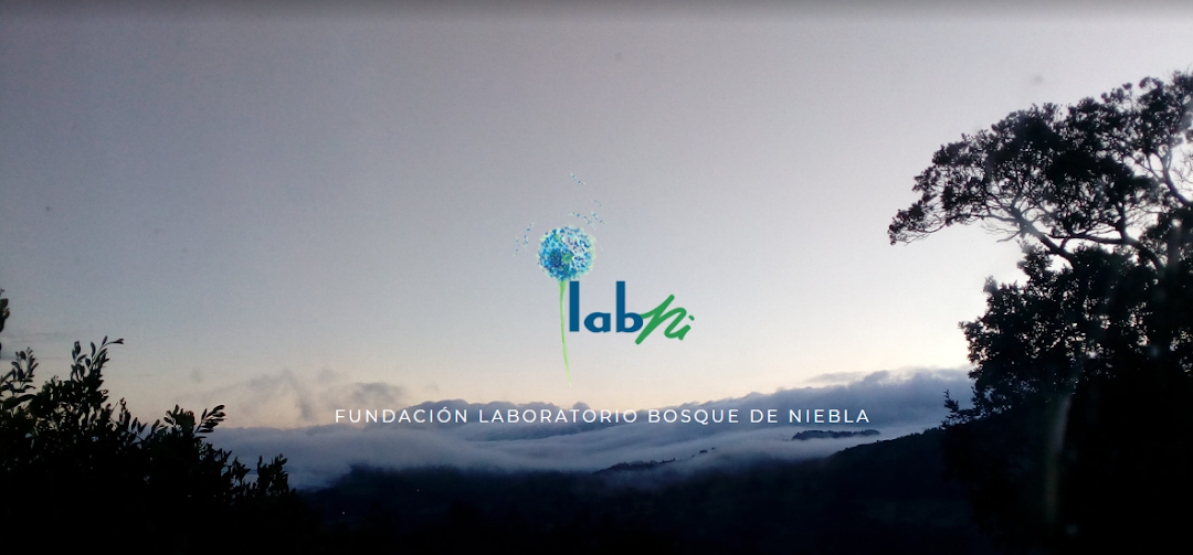 Fundación Laboratorio Bosque de Niebla - LabNi
