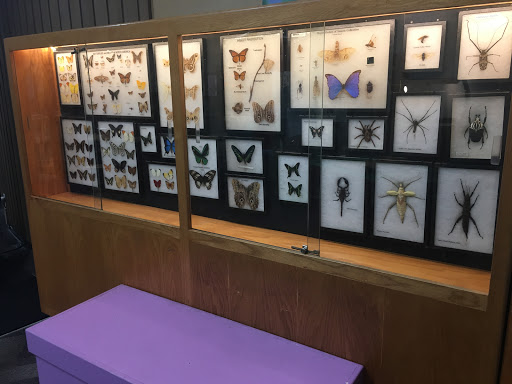 Science Museum «Science Factory», reviews and photos, 2300 Leo Harris Pkwy, Eugene, OR 97401, USA