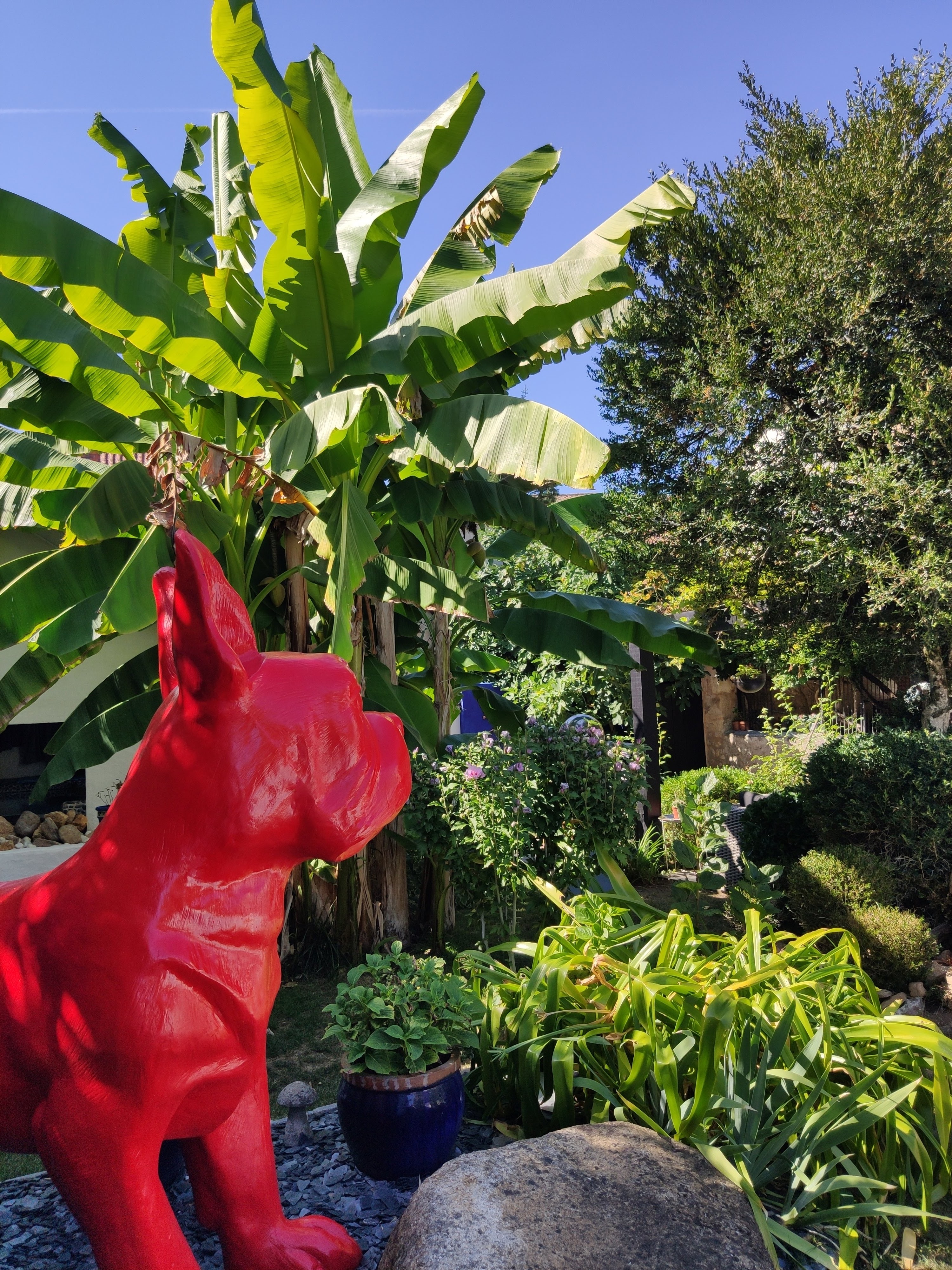 Photo n° 1 de l'avis de Gazou.a fait le 04/09/2019 à 17:57