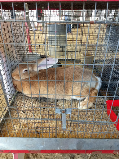 Association or Organization «Mendocino County Fair and Apple Show», reviews and photos