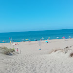 Photo n°1 de l'avis de Simona.u fait le 15/06/2023 à 17:02 sur le  Spiaggia Libera Castel Porziano - Cancello 2 à Rome