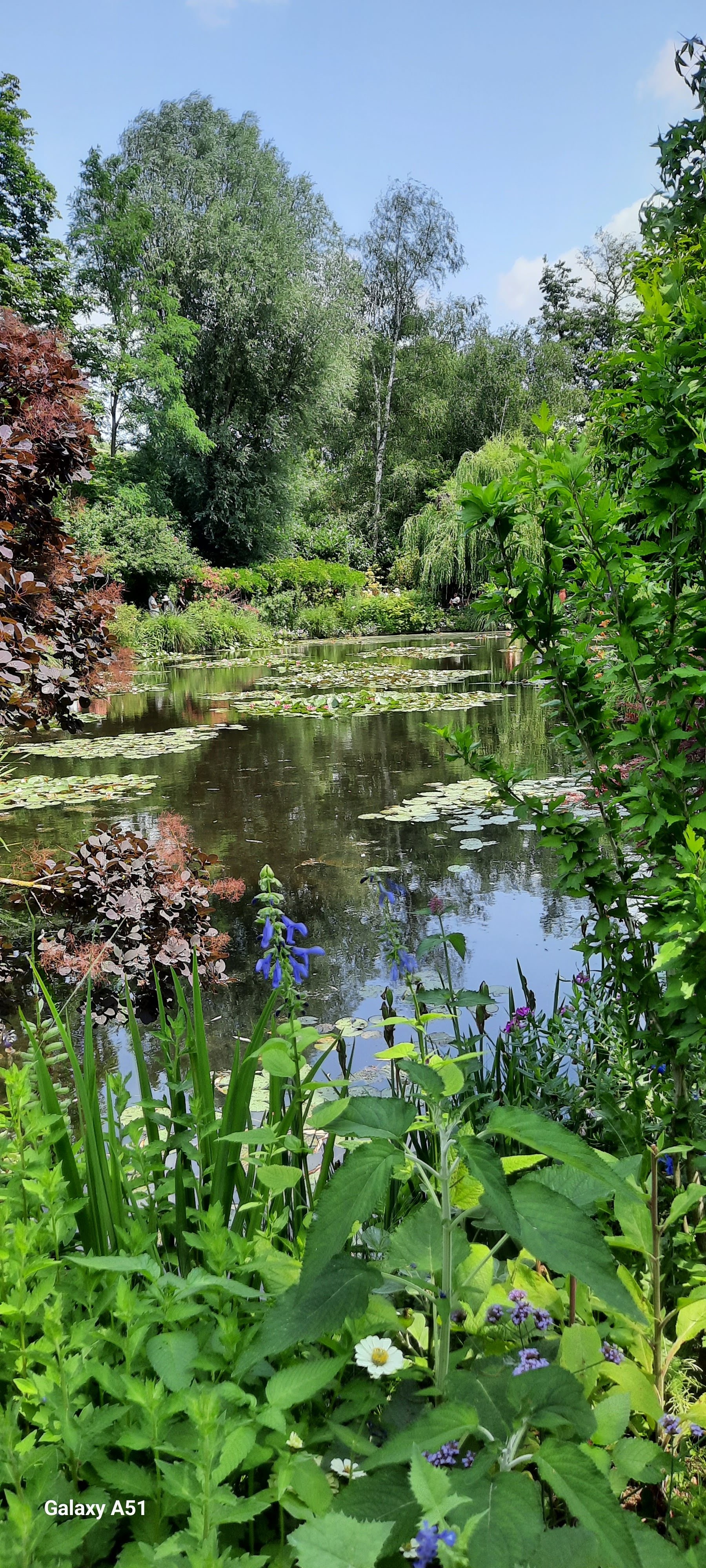 Photo n° 9 de l'avis de Evelyne.o fait le 14/07/2023 à 11:43