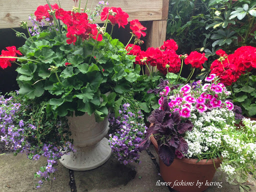 Florist «Flower Fashions by Haring», reviews and photos, 903 Hanshaw Rd #26, Ithaca, NY 14850, USA