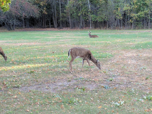 Park «Thomas A. Edison Park», reviews and photos, N Patrol Rd, Edison, NJ 08837, USA