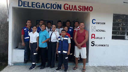 Grupo C.N.A.S Delegació Guasimo
