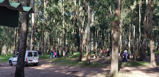 Opiniones de Playa Punta Espinillo en San José de Mayo - Camping