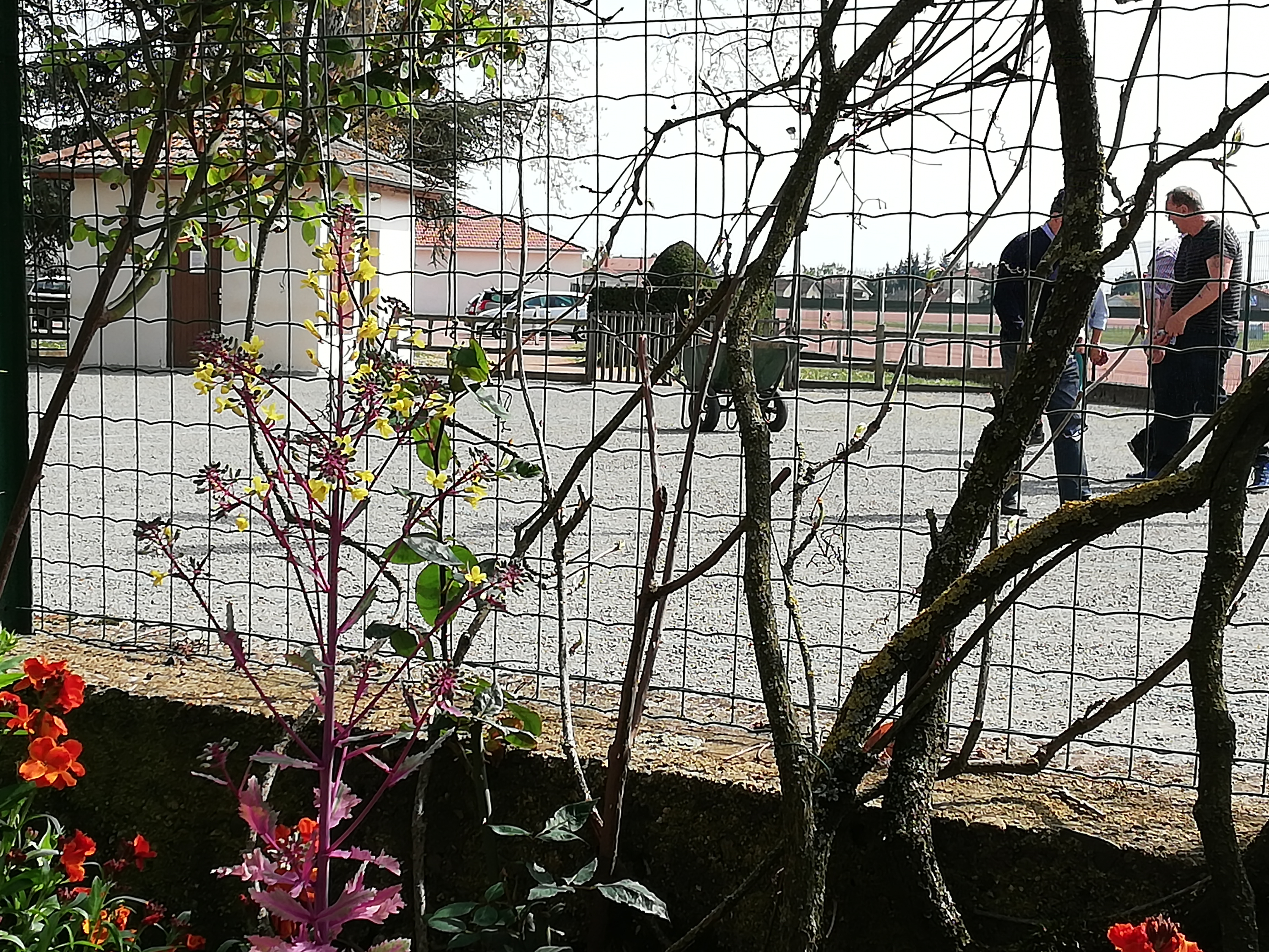 Photo n° 3 de l'avis de Bernard.o fait le 18/04/2019 à 20:54