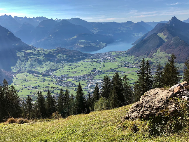 Alp Zwüschet-Mythen - Restaurant