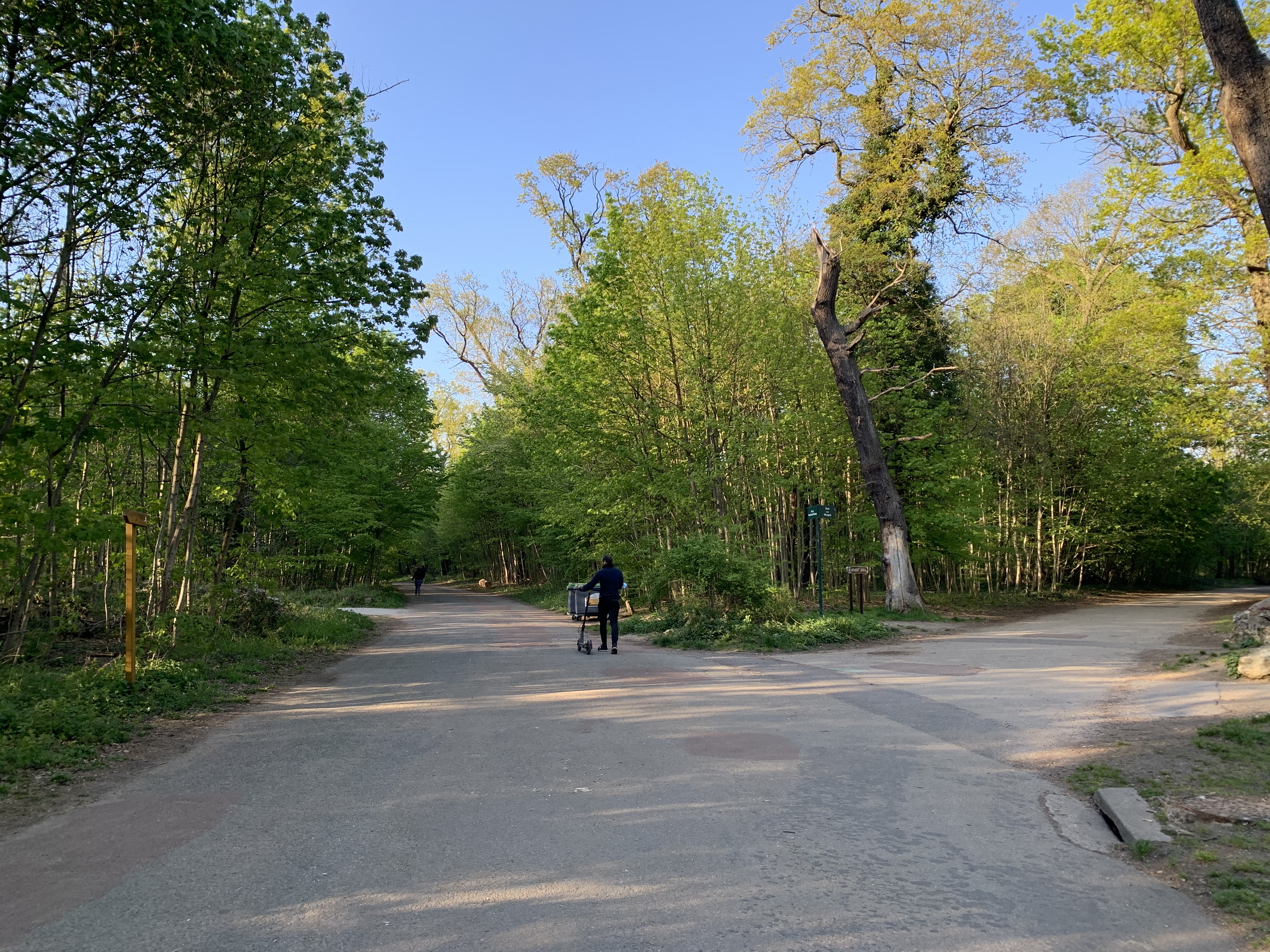 Photo n° 2 de l'avis de F. fait le 09/08/2022 à 05:38