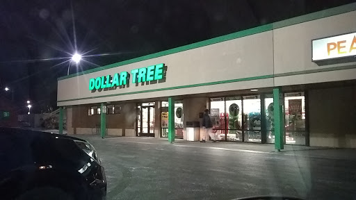 Dollar Store «Dollar Tree», reviews and photos, 110 11th St S, Moorhead, MN 56560, USA